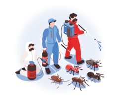 Affordable Pest Control Dubai