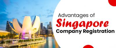 Advantages of Singapore Company Registration - Delhi Professional Services