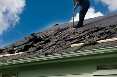 Roofing Services in Washington Charter Township, MI