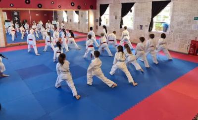 Benefits of karate and martial arts for kids - Other Other