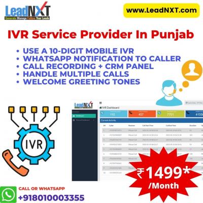  IVR Service Provider in Punjab - Other Other