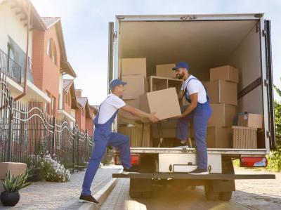 Experience a Stress-Free Move with Local Movers - Other Other