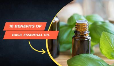 10 Benefits of Basil Essential Oil - Delhi Other