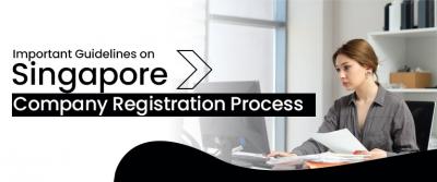 Important Guidelines on Singapore Company Registration Process - Delhi Professional Services
