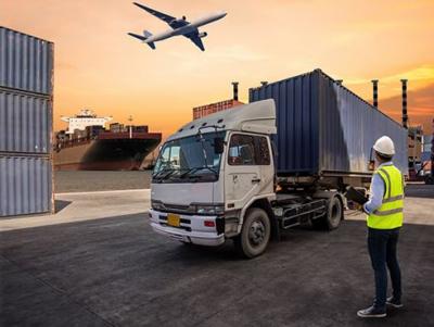 Efficient Freight and Logistics Solutions in Singapore |Palline