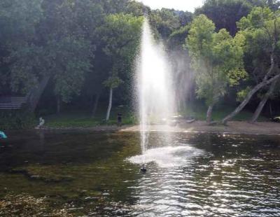 Effective Pond Cleaner Solutions for Crystal Clear Waters