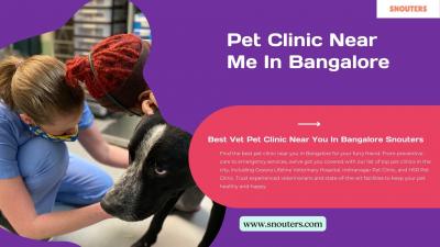 Best Vet Pet Clinic Near You In Bangalore - Other Dogs, Puppies