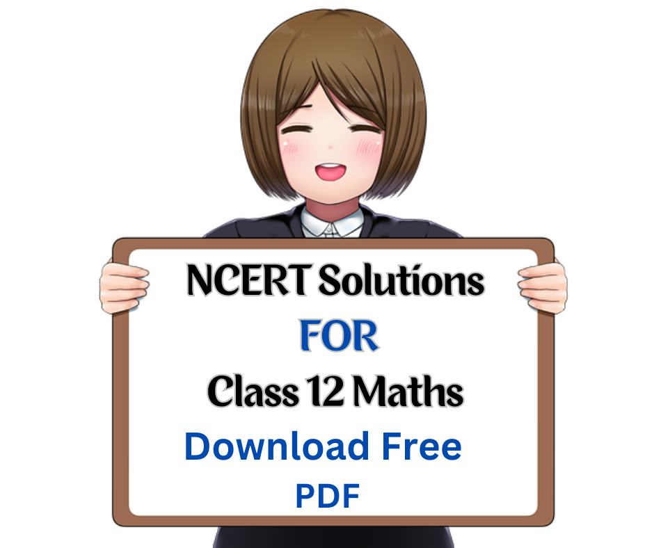 NCERT Solutions for Class 12 Maths - Delhi Other