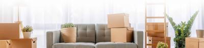 Your Trusted Choice Among Brampton Moving Companies - CBD Movers Canada - Toronto Other