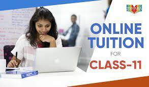 Elevate Your Grades with Expert Online Tuition for Class 11 by Ziyyara Edutech
