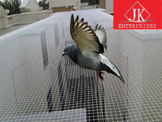 pigeon safety nets in bangalore - Bangalore Other