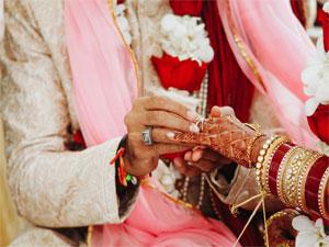 Best Marriage lawn in Nagpur - Nagpur Other