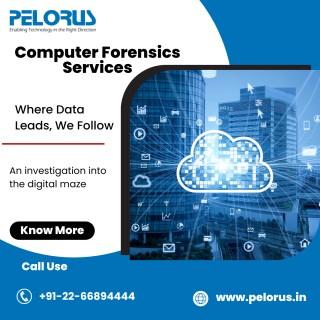 Computer Forensics Services  | Cloud Forensics - Mumbai Other