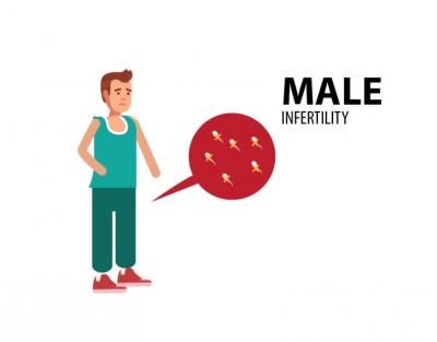 Unlocking the Future: A Male Fertility Test for Men - Dubai Other