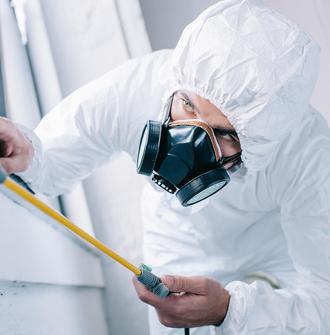 Advanced Pest Control Solutions for a Pest-Free Environment in Sydney
