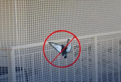 Pigeon safety nets for balconies in bangalore - Bangalore Other