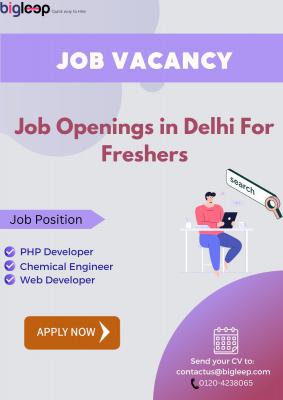 Job Openings in Delhi For Freshers. Apply Now - Delhi IT, Computer