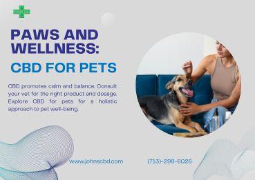 Paws and Wellness: CBD for Pets - Other Other
