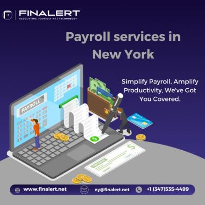 Finalert LLC | Payroll services in New York - New York Professional Services