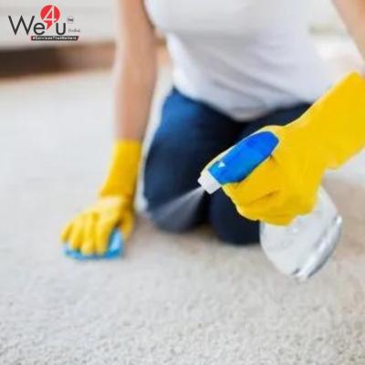 Home deep cleaning services in india - Delhi Professional Services