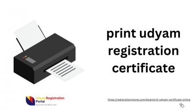 Apply Udyam re registration online - Other Other