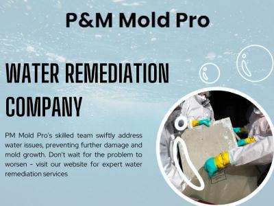 Trustworthy Emergency Water Damage Restoration at PM Mold Pro