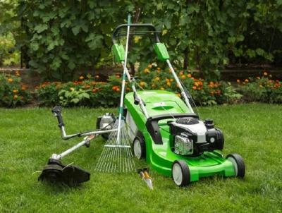 Professional & Affordable Lawn and Tree Care Services - Same Day Service - Washington Professional Services