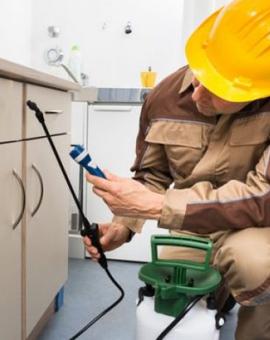 Comprehensive Industrial Pest Control Solutions - Sydney Professional Services