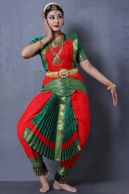 Order Authentic Bharatanatyam Dance Costumes Online - Explore The Dance Bible!