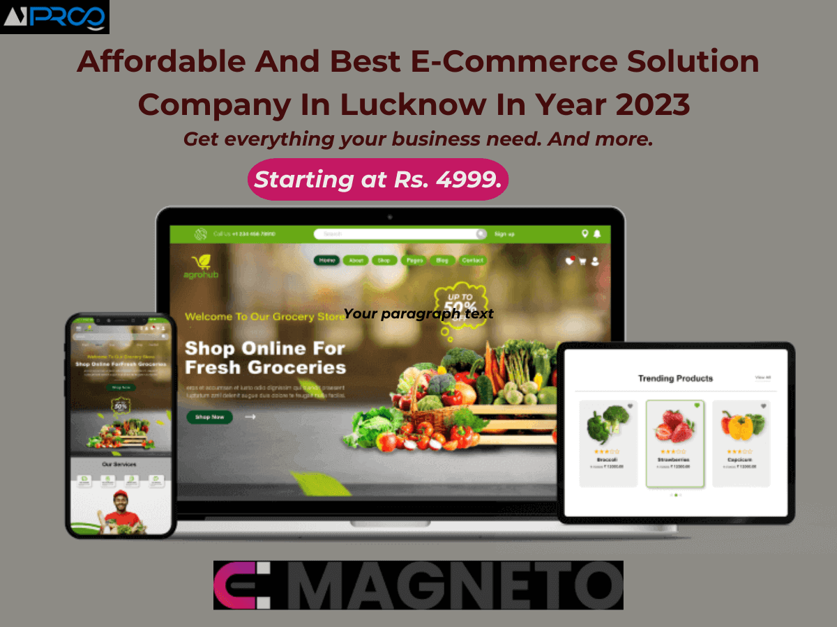 Affordable And Best E-Commerce Solution platform In Lucknow In Year 2023
