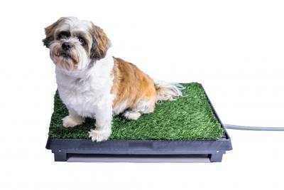 Dog Toilet Tray | Woof Wizz - Adelaide Dogs, Puppies