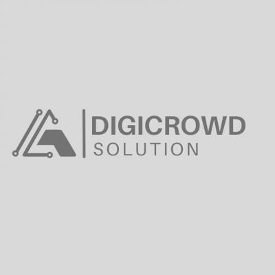 Unleash Your Brand's Potential with Digicrowd Solutions: Social Media Management in Lucknow