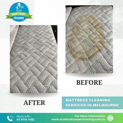 Mattress Cleaning Services in Melbourne - Melbourne Other