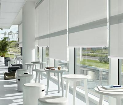 Protection Against Sunlight Guaranteed With Dual Roller Blinds