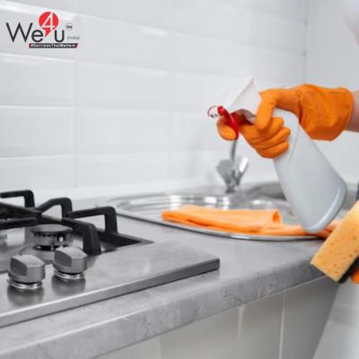 House Kitchen Cleaning Services