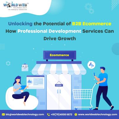 Unlocking the Potential of B2B Ecommerce: How Professional Development Services Can Drive Growth - New York Computer