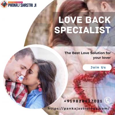 PROBLEMS THAT CAN BE RESOLVED Love back specialist - Ludhiana Professional Services