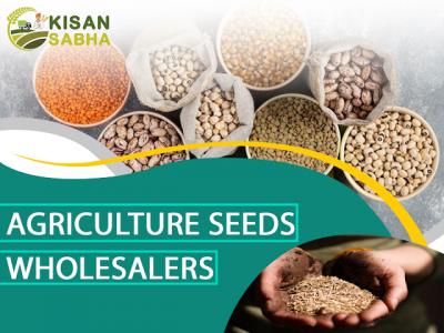 Premium Agriculture Seeds Wholesalers: Partnered with Kisan Sabha