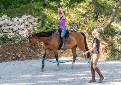 Top Horse Riding Classes By Experts In Singapore 