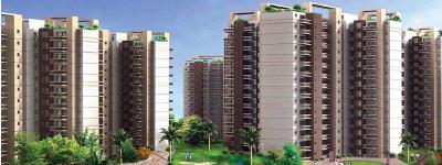 Best Luxury Apartments in Gurgaon with Full Of Luxury Amenities - Gurgaon Apartments, Condos