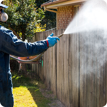 Are You Tired of Unwanted Pests Invading Your Home in Melbourne? - Melbourne Professional Services