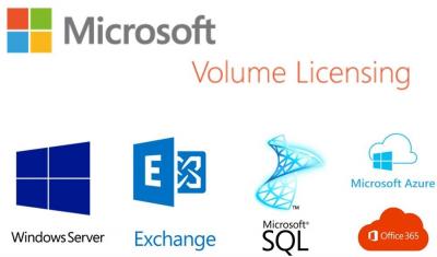 Global Microsoft Volume Licensing Support and Technology Solutions - Los Angeles Computer