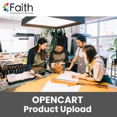 Opencart Product Upload for effective customer response - Other Professional Services