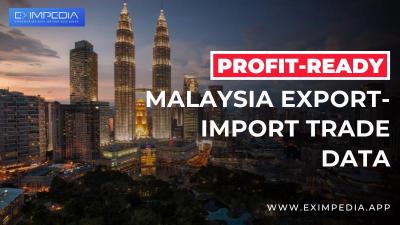 Malaysia Importers List - Navigate the Malaysian Business Landscape - Delhi Professional Services
