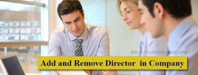 Add And Remove Directors Services Delhi  - Delhi Professional Services