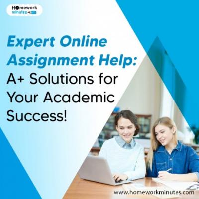 Expert Online Assignment Help: A+ Solutions For Your Academic Success! 