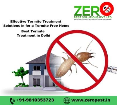 Effective Termite Treatment Solutions in Delhi for a Termite-Free Home - Delhi Other