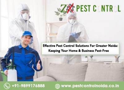 Effective Pest Control Solutions for Greater Noida: Keeping Your Home and Business Pest-Free - Delhi Other
