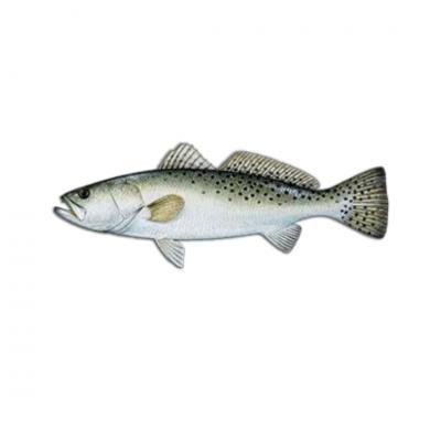 Specializes Speckled Trout Fishing New Orleans - Other Other