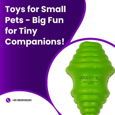 Toys for Small Pets - Big Fun for Tiny Companions!  - Other Health, Personal Trainer